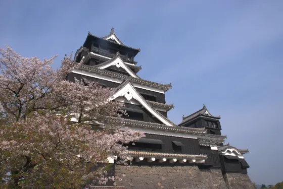 Kumamoto Castle, photo 3