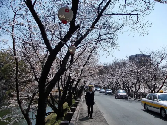 Kumamoto Castle, photo 4