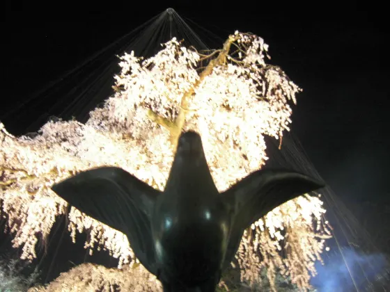 Maruyama Park, photo 3