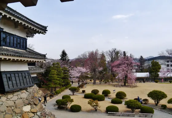 Matsumoto Castle, photo 3