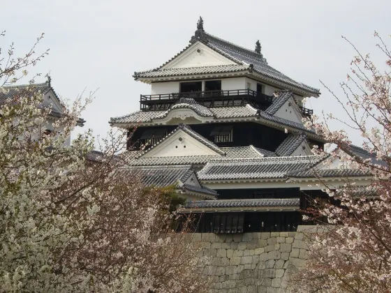 Matsuyama Castle, photo 2