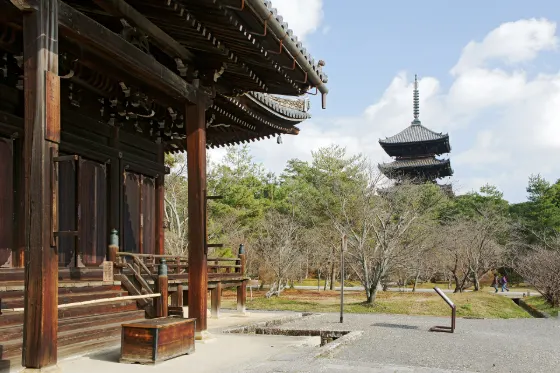 Ninna-ji Temple (Omuro cherries), photo 2