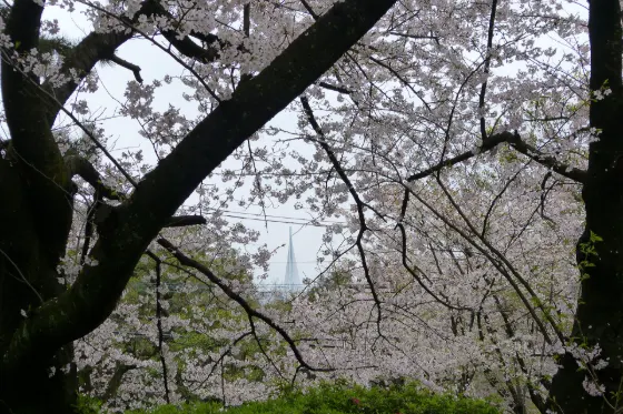 Nishi Park (Fukuoka), photo 2