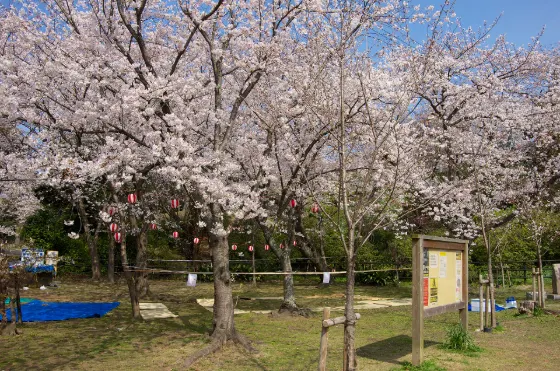 Nishi Park (Fukuoka), photo 4