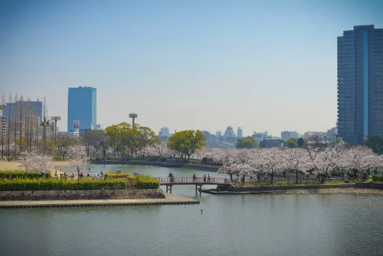 Okawa River (Kema Sakuranomiya Park), photo 2