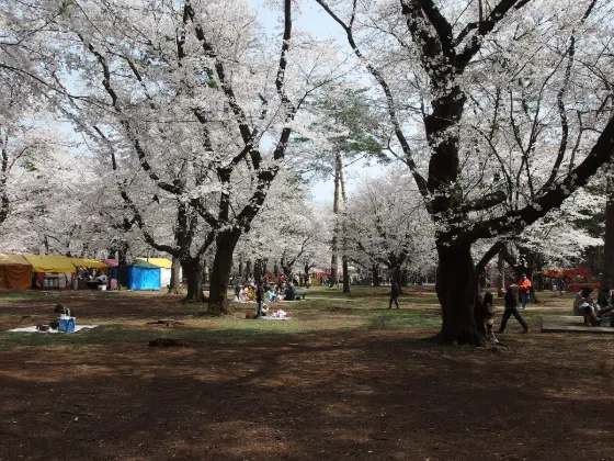 Omiya Park, photo 3