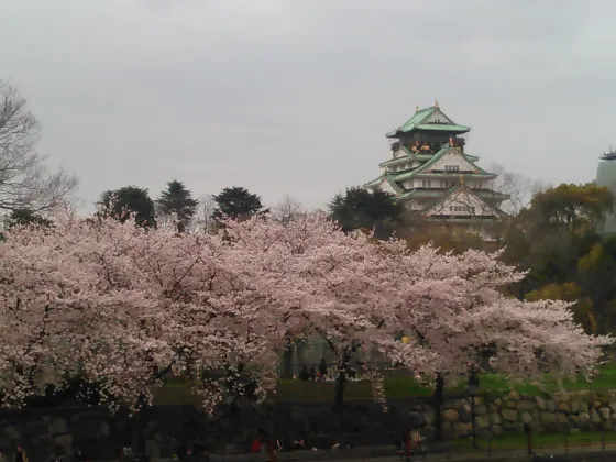 Osaka Castle Park, photo 2