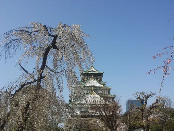 Osaka Castle Park, photo 3