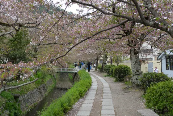 Philosopher's Path, photo 2