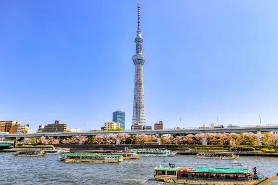 Sumida Park, photo 2