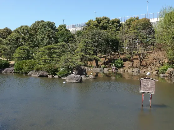 Sumida Park, photo 4