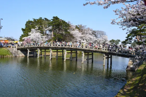 Takada Castle Ruins Park, photo 3