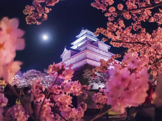 Tsuruga Castle (Aizu-Wakamatsu), photo 3