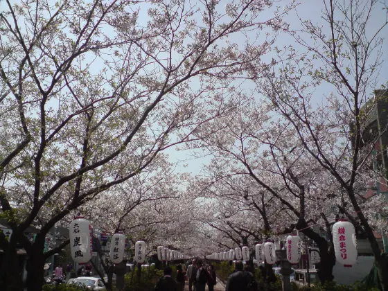Tsurugaoka Hachimangu Dankazura, photo 3
