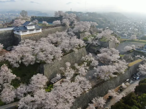 Tsuyama Castle (Kakuzan Park), photo 3