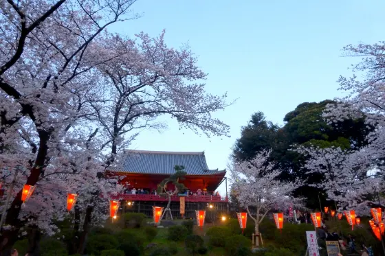 Ueno Park, photo 3
