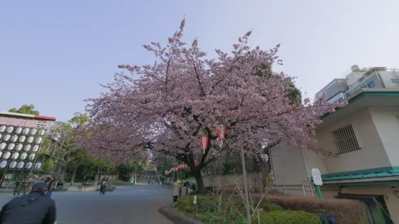 Ueno Park, photo 4