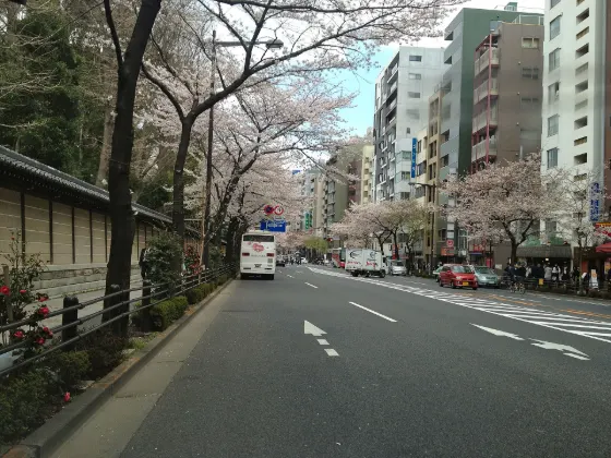 Yasukuni Shrine, photo 2