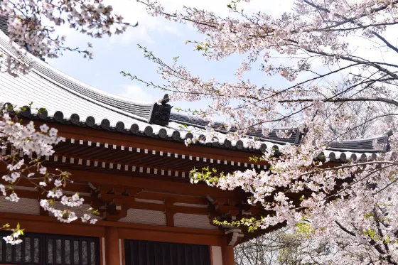 Zojo-ji Temple, photo 2