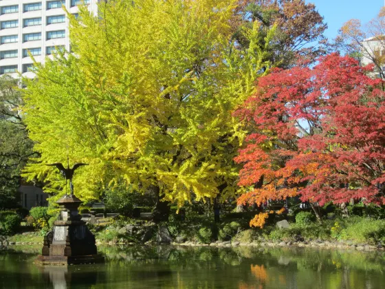 Hibiya Park Kubikake Ginkgo, photo 2