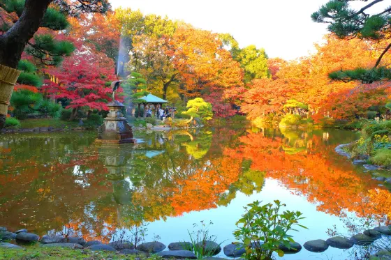 Hibiya Park Kubikake Ginkgo, photo 3