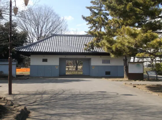 Hikarigaoka Park Ginkgo Avenue, photo 3