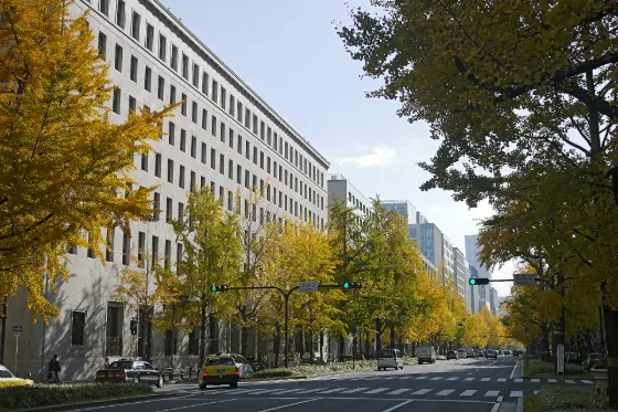Midosuji Ginkgo Avenue, photo 2