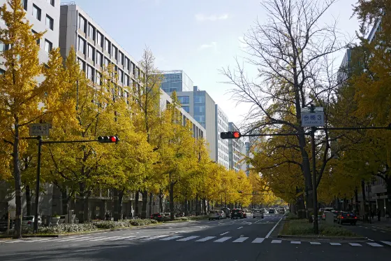 Midosuji Ginkgo Avenue, photo 3