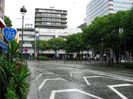 Nihon Odori Ginkgo Avenue, photo 2