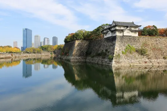 Osaka Castle Park Ginkgo, photo 3
