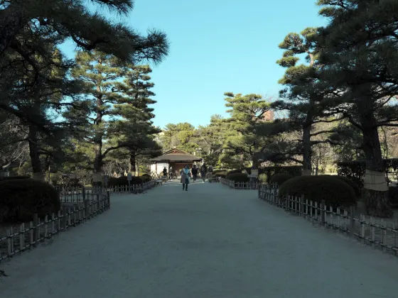 Shukkeien A-bombed Ginkgo, photo 3
