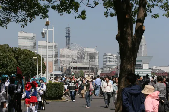Yamashita Koen-dori Ginkgo Avenue, photo 3