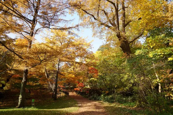 Hokkaido University Botanic Garden, photo 4