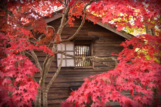 Kosetsu-en Garden (Hakodate), photo 2