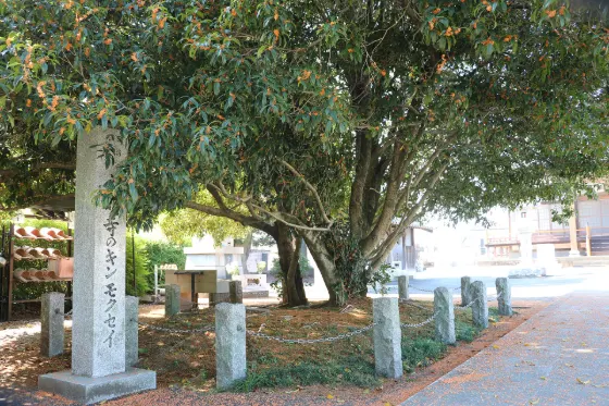 Eimei-ji Temple Kinmokusei, photo 2