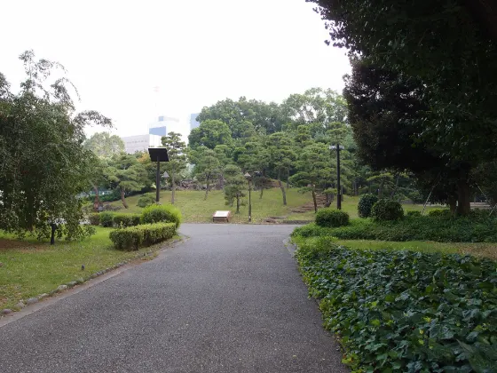 Hibiya Park Kinmokusei, photo 3