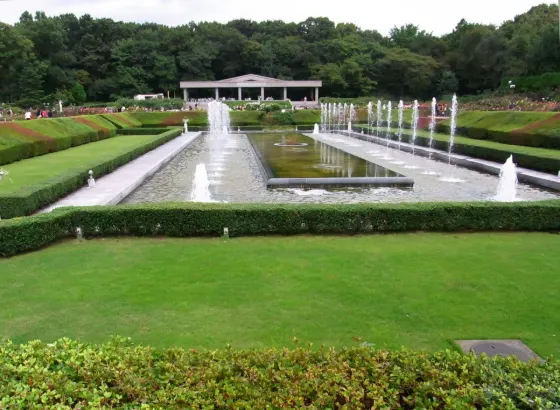 Jindai Botanical Gardens Osmanthus, photo 2