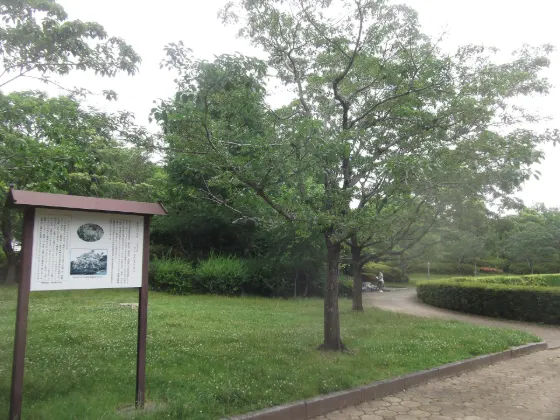Johoku Park Kinmokusei, photo 3