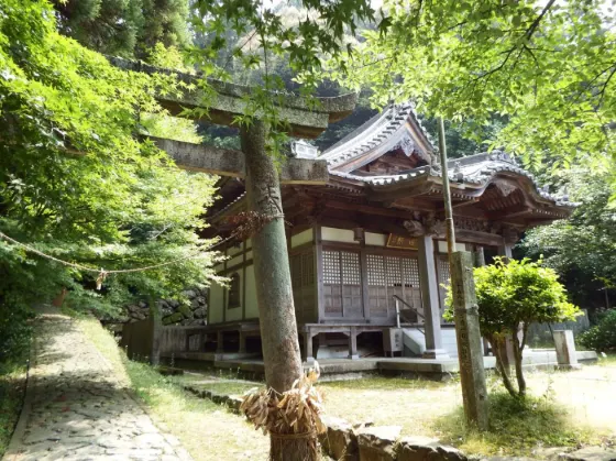 Oshimori-ji Temple Kinmokusei, photo 3
