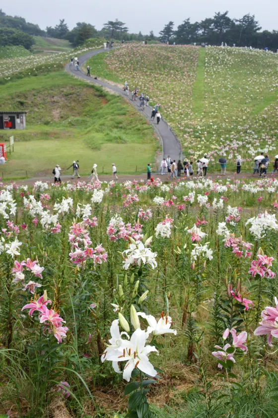 Biwako Hakodateyama, photo 4