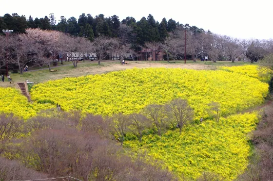 Mother Farm, photo 2