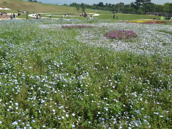 Uminonakamichi Seaside Park, photo 3