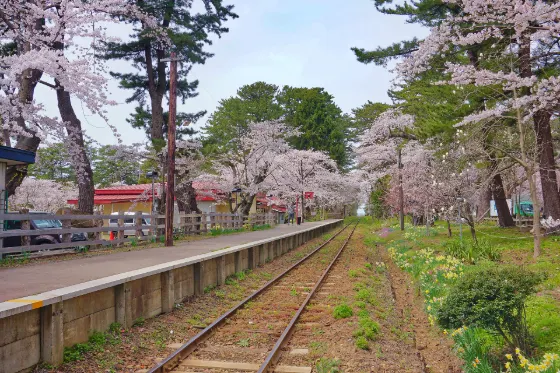 Ashino Park, photo 3