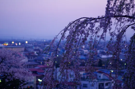 Eboshiyama Park, photo 2