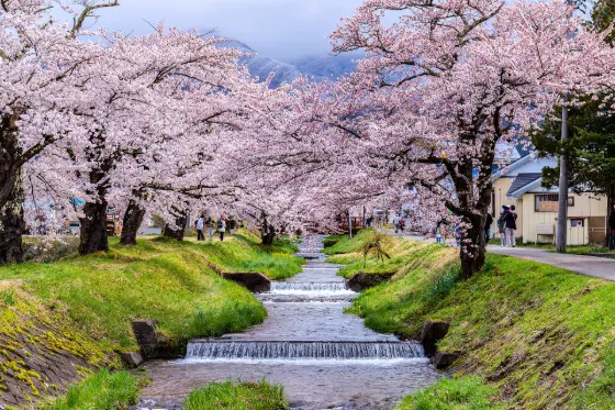 Kannonji River, photo 3