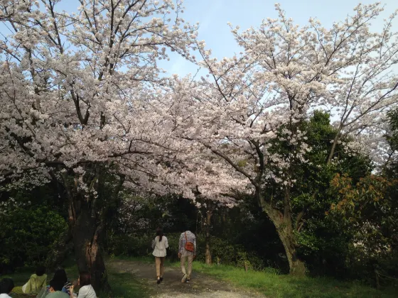 Nishi Park (Sendai), photo 2