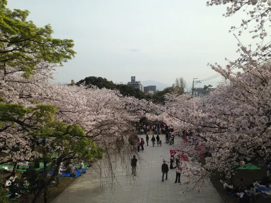 Nishi Park (Sendai), photo 3