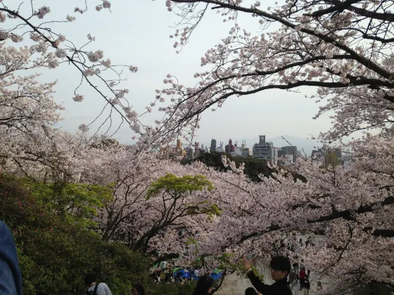 Nishi Park (Sendai), photo 4