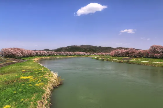 Shiroishi River Hitome Senbonzakura, photo 4