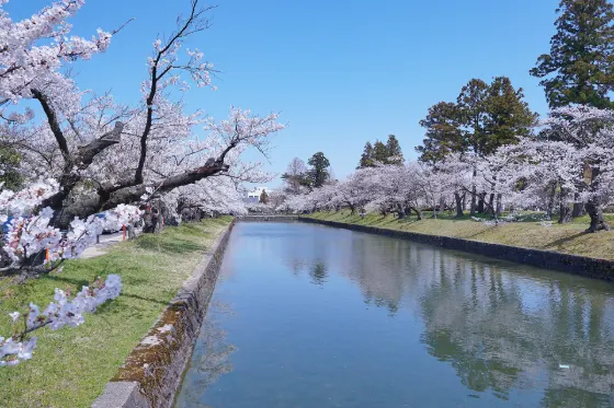 Tsuruoka Park, photo 3